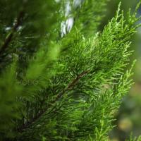 [Downloader.la]-631727f27735c