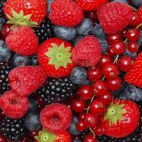 [Downloader.la]-6315d19530e88