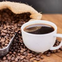 [Downloader.la]-62c28f51c17d0