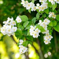 [Downloader.la]-62bc40e9c3850