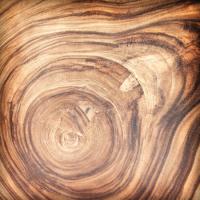 Благородное дерево