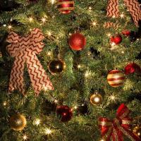 [Downloader.la]-6315c1e81c8f2