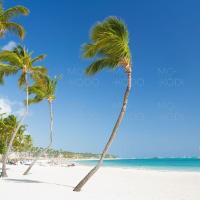 [Downloader.la]-6317235c33442