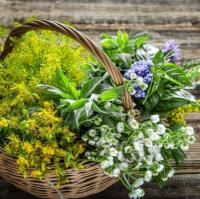 [Downloader.la]-62bc410bcad6c