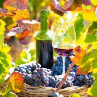 [Downloader.la]-62821f2c19803