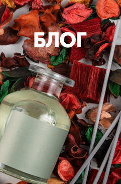 Блог Блог