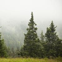 [Downloader.la]-6311b90637fe9 (1)