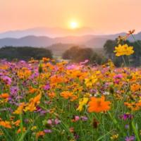 [Downloader.la]-62c29740517b2