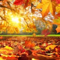 [Downloader.la]-6315bc21b031e