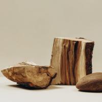 АНГЛИЙСКИЙ ДУБ3