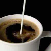 [Downloader.la]-62bc43fca36f4