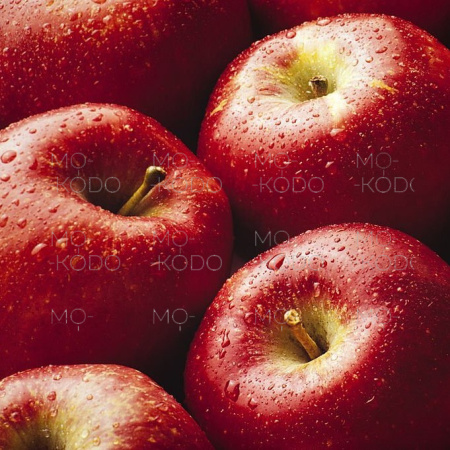 [Downloader.la]-63171304152bf