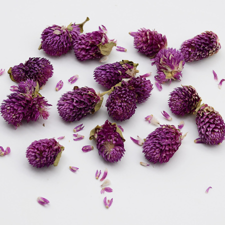 Клевер фиолетовый сухоцвет