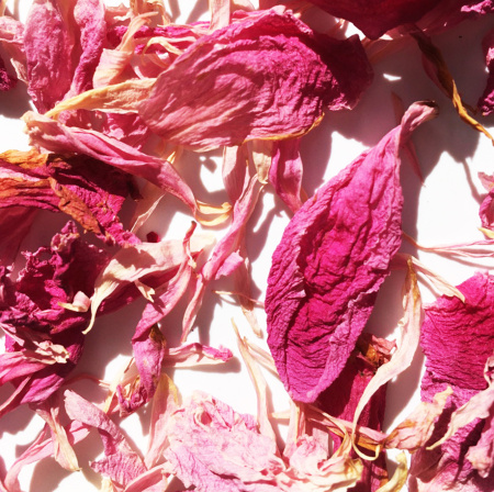 Лепестки пиона сушёные - 5 гр.