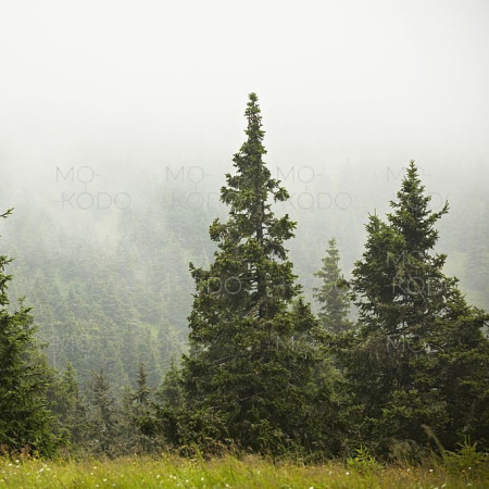 [Downloader.la]-6311b90637fe9 (1)