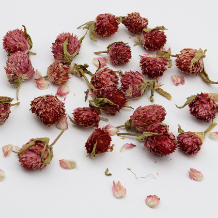 Клевер красный сухоцвет