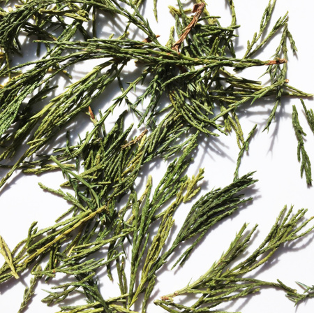 Хвоя Можжевельника - 10 гр.