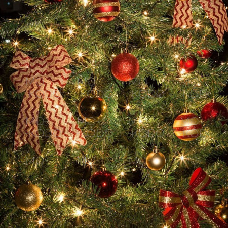 [Downloader.la]-6315c1e81c8f2