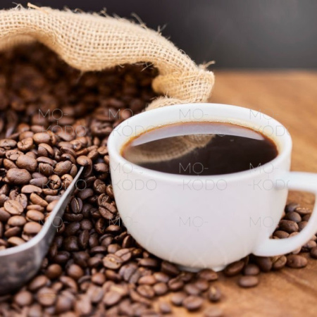 [Downloader.la]-62c28f51c17d0