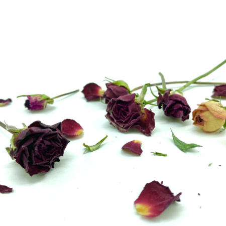 чайная роза (1)