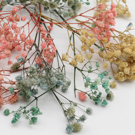 Гипсофила микс цветов