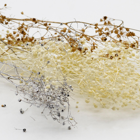 Гипсофила золото, серебро, белый