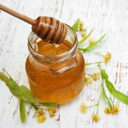 [Downloader.la]-6311bad34364b