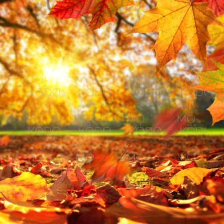 [Downloader.la]-6315bc21b031e